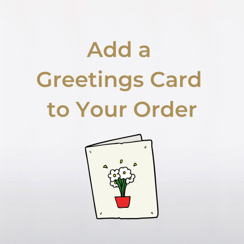 Greeting Card Product Graphic
